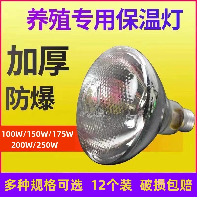 12个装养殖场猪场加厚优质保温灯泡节能取暖灯猪羊用保暖灯泡防水