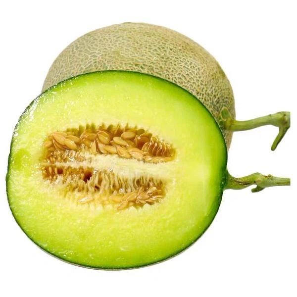 网纹蜜甜瓜一箱2个（4.5斤～5斤）哈密瓜