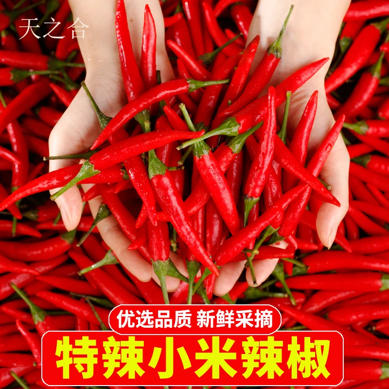 小米辣椒新鲜特辣批发小米椒红辣椒特辣朝天椒超辣小米椒9斤/0.1