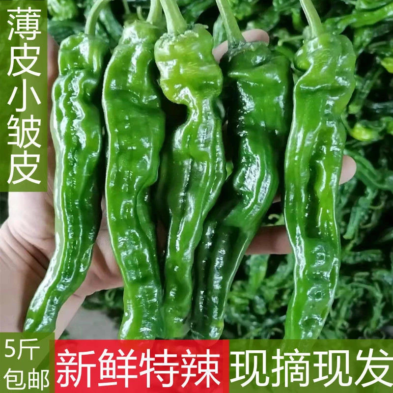 皱皮新鲜辣椒辣子鸡薄皮超辣螺丝椒蔬菜3斤/5斤