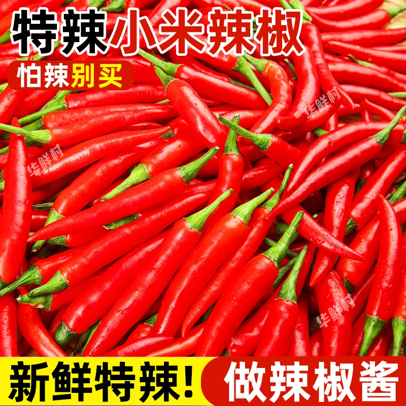 小米辣椒新鲜批发小米椒朝天椒特辣超辣红辣椒指天椒100g/9斤