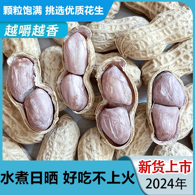24年客家特产原味水煮咸干花生口感鲜香好吃精选零食即食营养美味