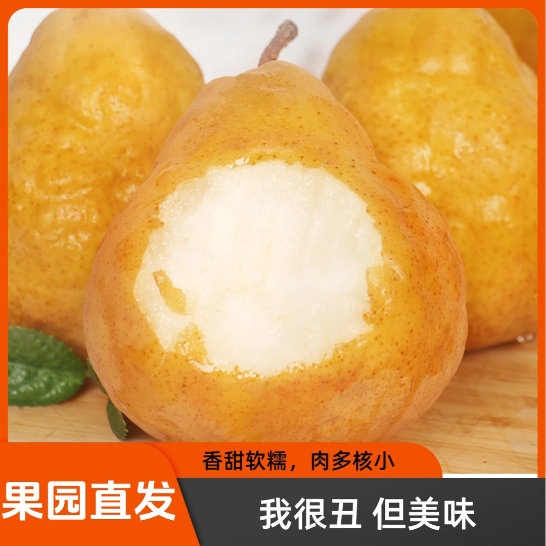 产地直发【中华丑梨】正宗烟台莱阳软糯多汁当季新鲜水果现采现摘