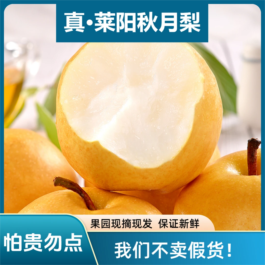 假一赔十【正宗秋月梨】尝鲜装山东烟台莱阳当季现摘新鲜脆甜多汁