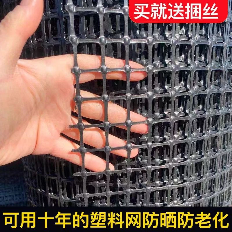 鸿瑞源养鸡养鸭塑料养殖网围栏网隔离防护网玉米网栅栏网果园网格