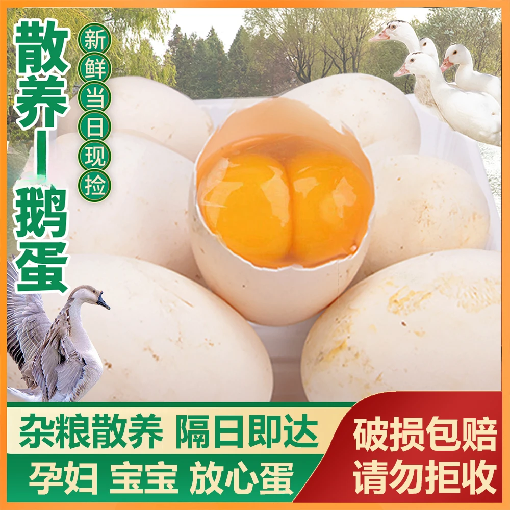 开春半价|IO枚+送2枚农家散养两年老鹅蛋约120g/个新鲜营养孕妇蛋