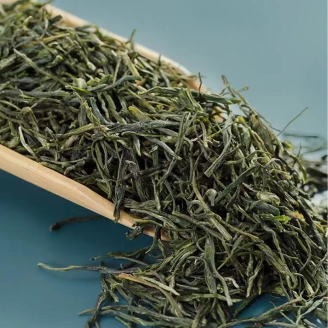 雩龙早春2024犍为茉莉花茶传统窨花工艺雩龙茉莉香茶