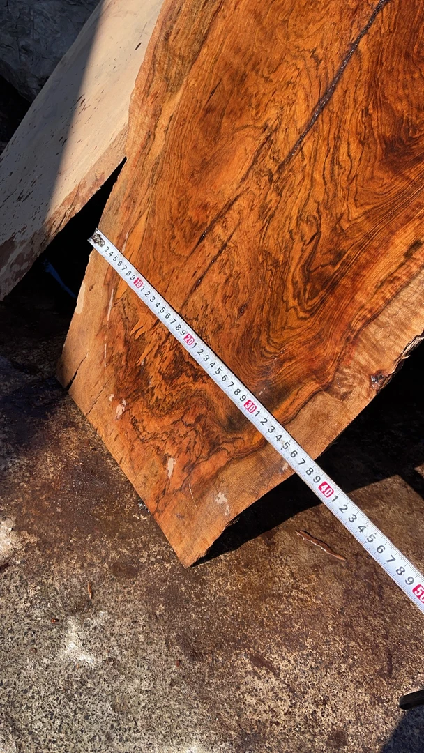 贵州细叶香贵黄原木