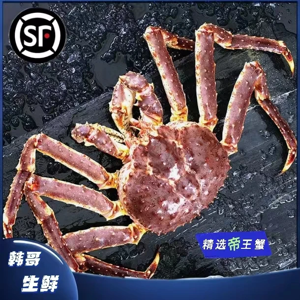 【韩哥生鲜】【直播间】缺氧新鲜海鲜俄罗斯帝王蟹现称现拍冷链发货