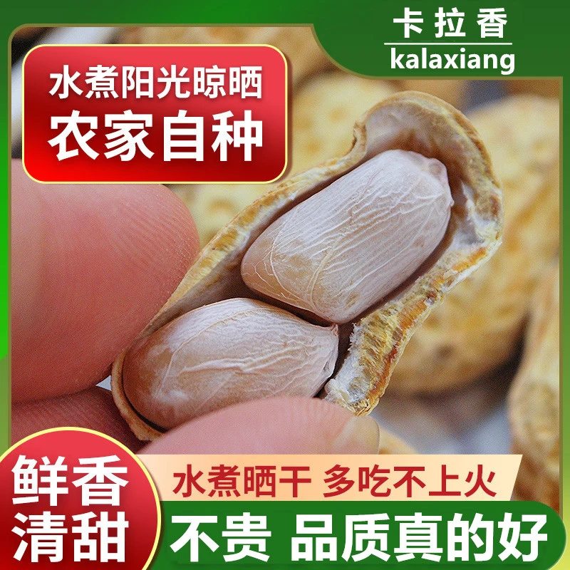 破价【1斤到手】福建特产水煮日晒花生咸干蒜香五香带壳下酒零食