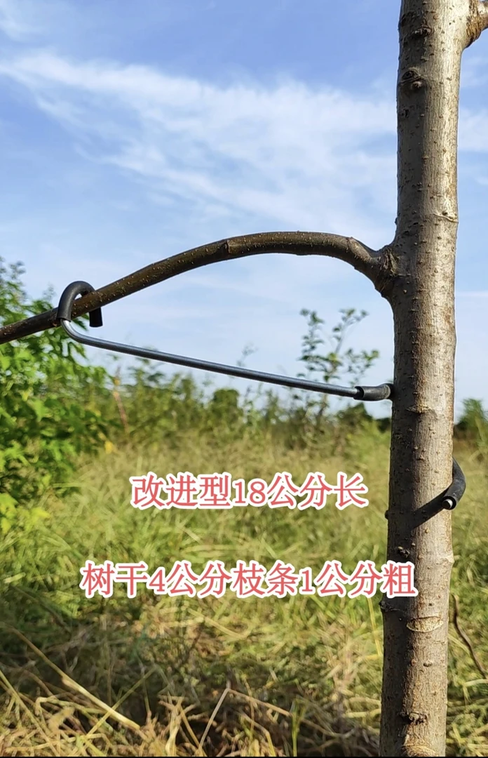 果树拉枝器定型器开角器别枝器压枝神器改进新型分枝器开基角工具