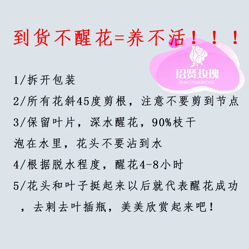 鲜花养护小知识（到货不醒花=养不活）