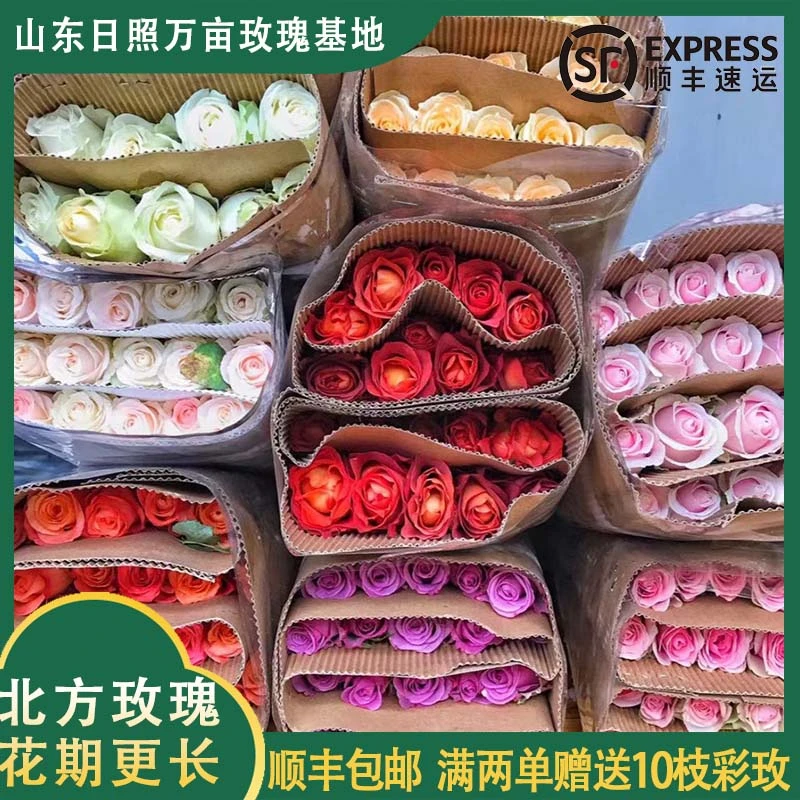 【福袋福利】赠10枝彩玫（随机）