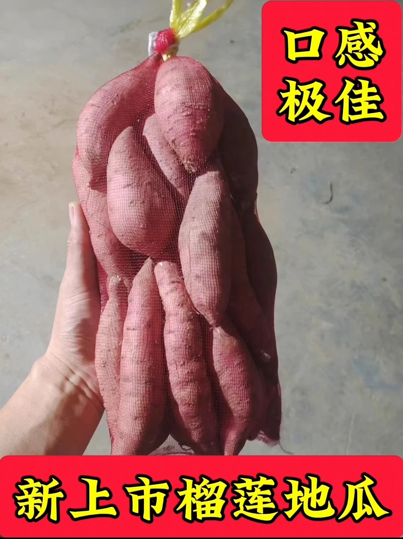 好吃不贵的 榴莲地瓜 2500g 产地直发