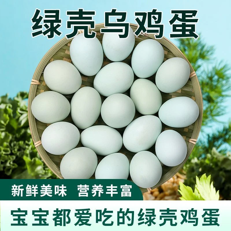 40枚绿壳散养乌鸡蛋，3.8斤以上