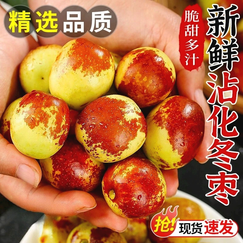 【顺丰】山东沾化冬枣新鲜大枣鲜枣当季水果枣子脆枣整箱脆甜
