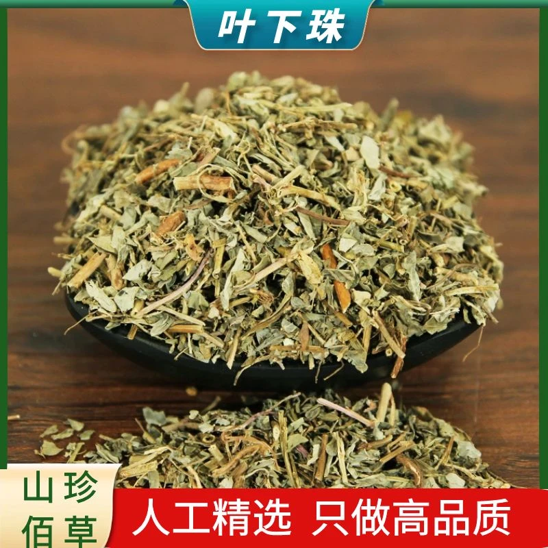 叶下珠精选正宗叶下珠新货鱼鳞草油甘草散装干货250g500g非金钱草