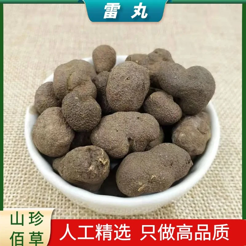 【雷丸】优选云南正宗雷丸雷实竹苓竹林子木连子干货50g/100g非栀子