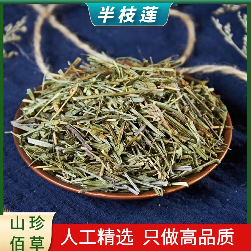 【半枝莲】精选野生半枝莲段韩信草散装新鲜干货500g/1000g非益母草