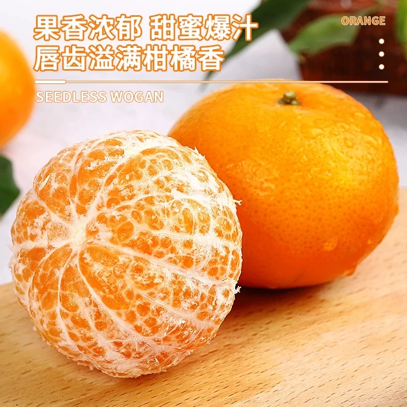 【24年新货】广西武鸣沃柑新鲜应季水果现摘现发化渣多汁柑橘橙桔子