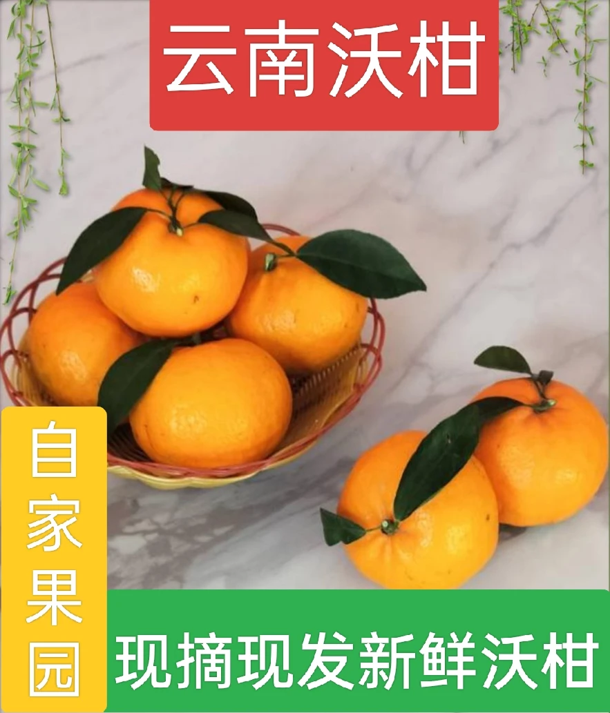 云南元江新鲜现摘现发自种沃柑5斤/10斤包邮