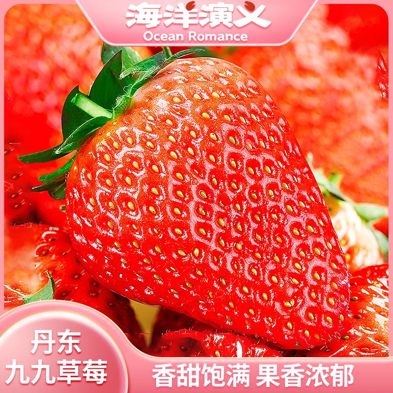 海洋演义 正宗丹东九九草莓1.8斤/盒 单果果重20-30g