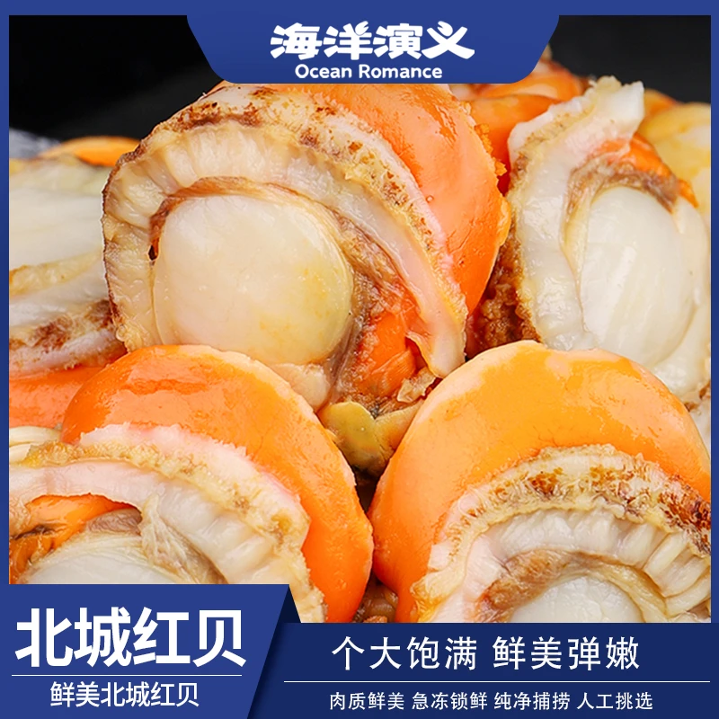 【精选】海洋演义扇贝肉200g/包*4包 大个 无沙 味道鲜美
