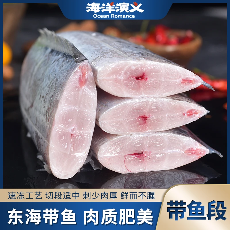 海洋演义 带鱼段 新鲜速冻 500g/包*8包