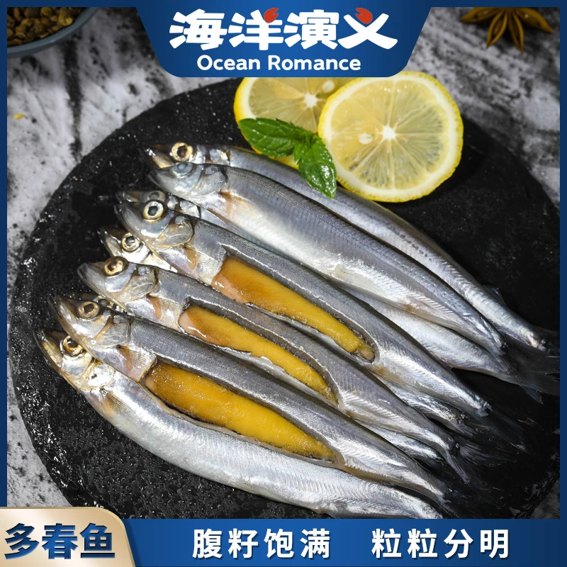 海洋演义 多春鱼 180g/包*10包