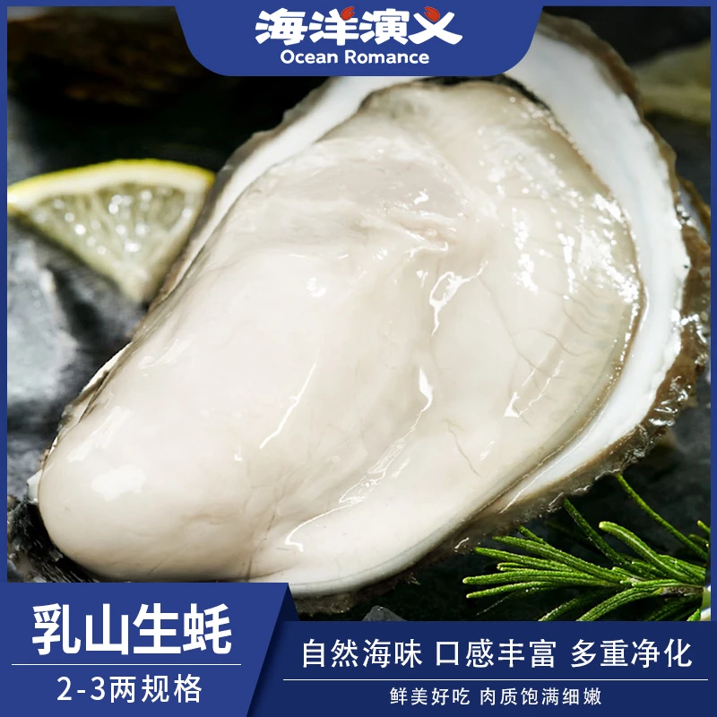 【海洋演义】乳山生蚝 （2-3两/个）牡蛎 5斤 商城专享