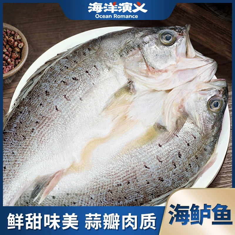【精选】海洋演义 盐渍海鲈鱼 肉质鲜美 腌制冷冻400g/条*3条