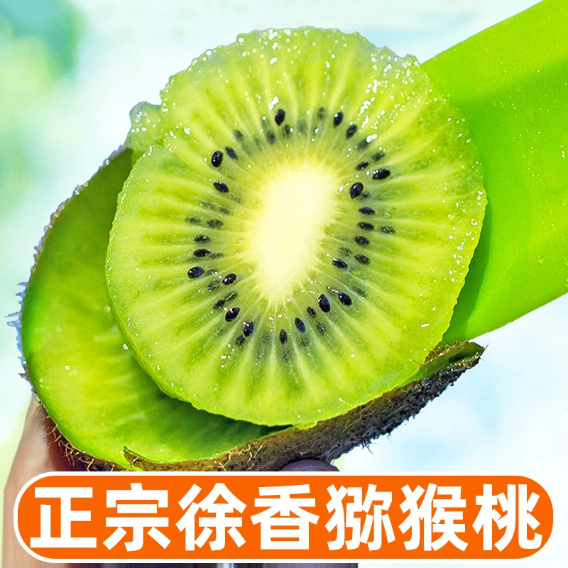 【15个 福利款 9.9 】陕西 徐香猕猴桃 绿心奇异果（约2.5斤）