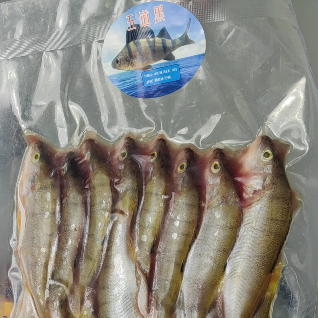 【只发新疆】小五道黑阿勒泰福海冷水鱼 狗鱼黑鱼1000g*2