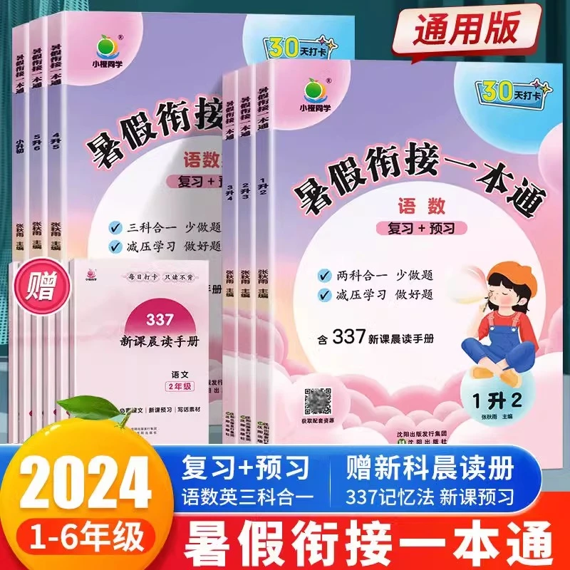 暑假衔接一本通小学生一升二升三升四升五六年级上册下册衔接练习