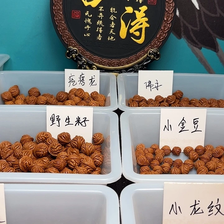 文玩核桃手串霸王龙g j lo