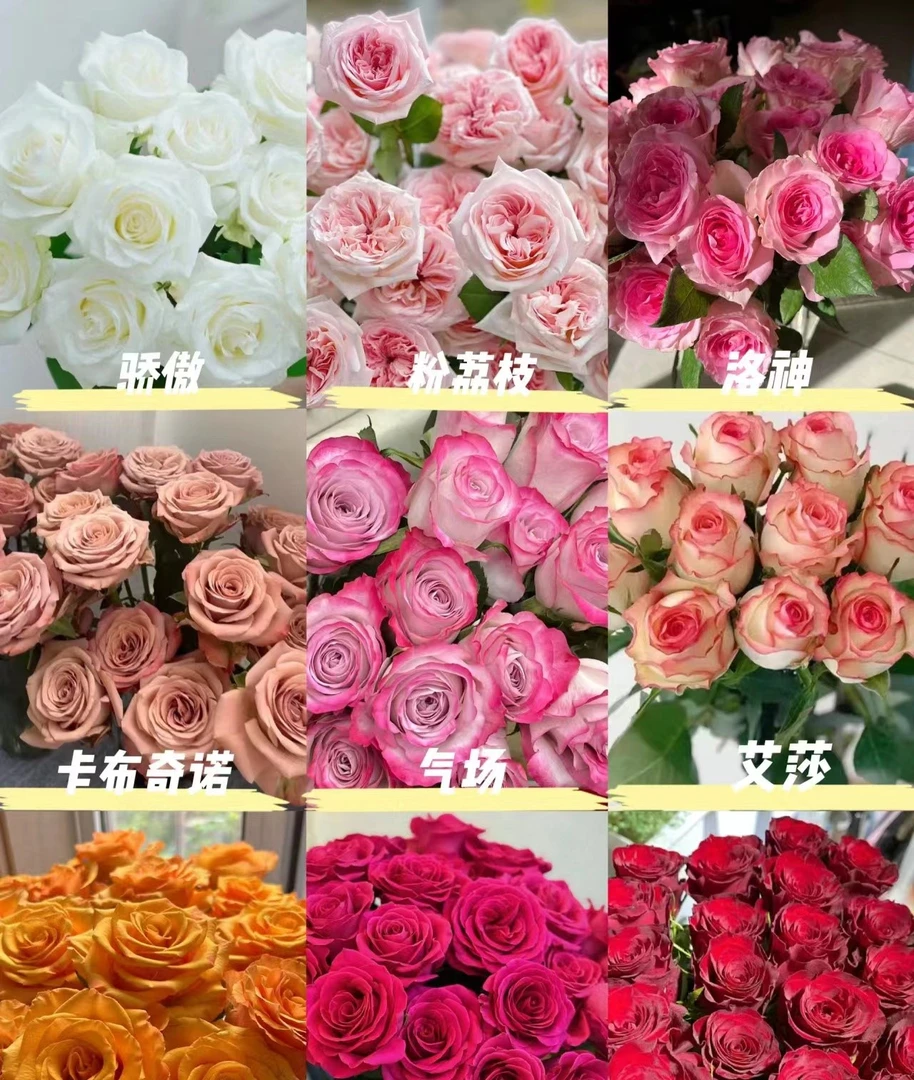 【四单顺丰冷链包邮】【加入购物车一起下单】【玫瑰百合草花自选】
