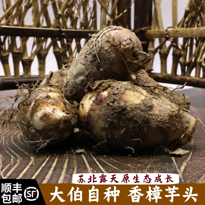 顺丰包邮芋头红芽芋头粉糯香小芋头现摘现发3斤5斤