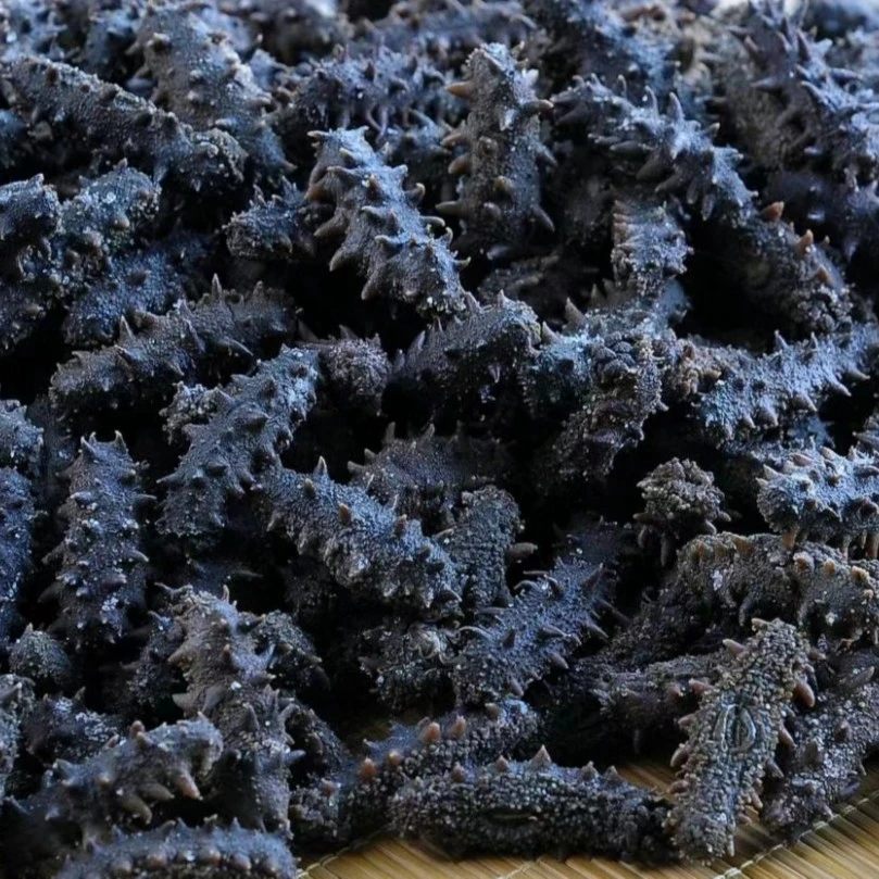【半干】500G 大连拉缸盐半干海参 30-40头长海县深海底播 中火