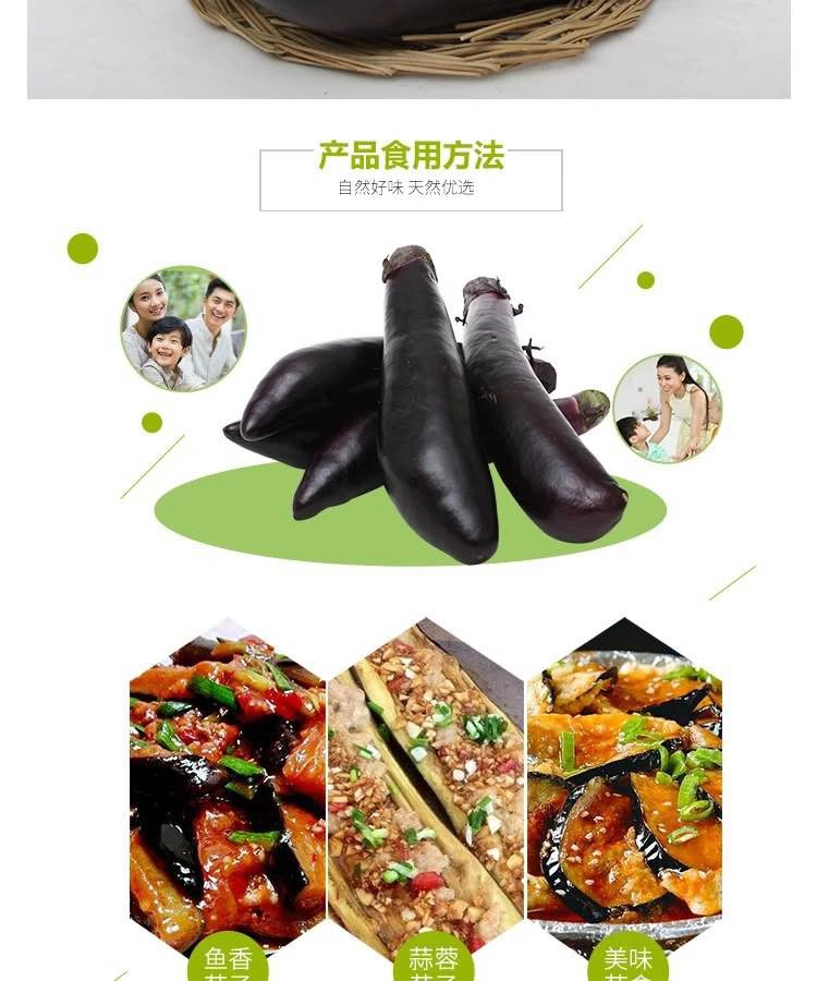 东北茄子混搭新鲜采摘食用五斤（面包茄子紫茄子各一半）顺丰包邮