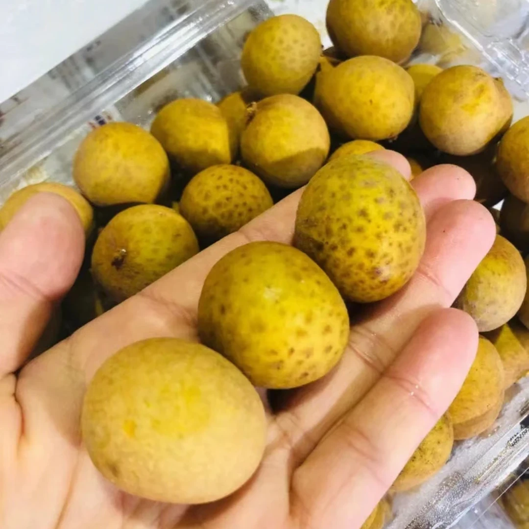 泰国JJ大龙眼皮薄肉厚果核小