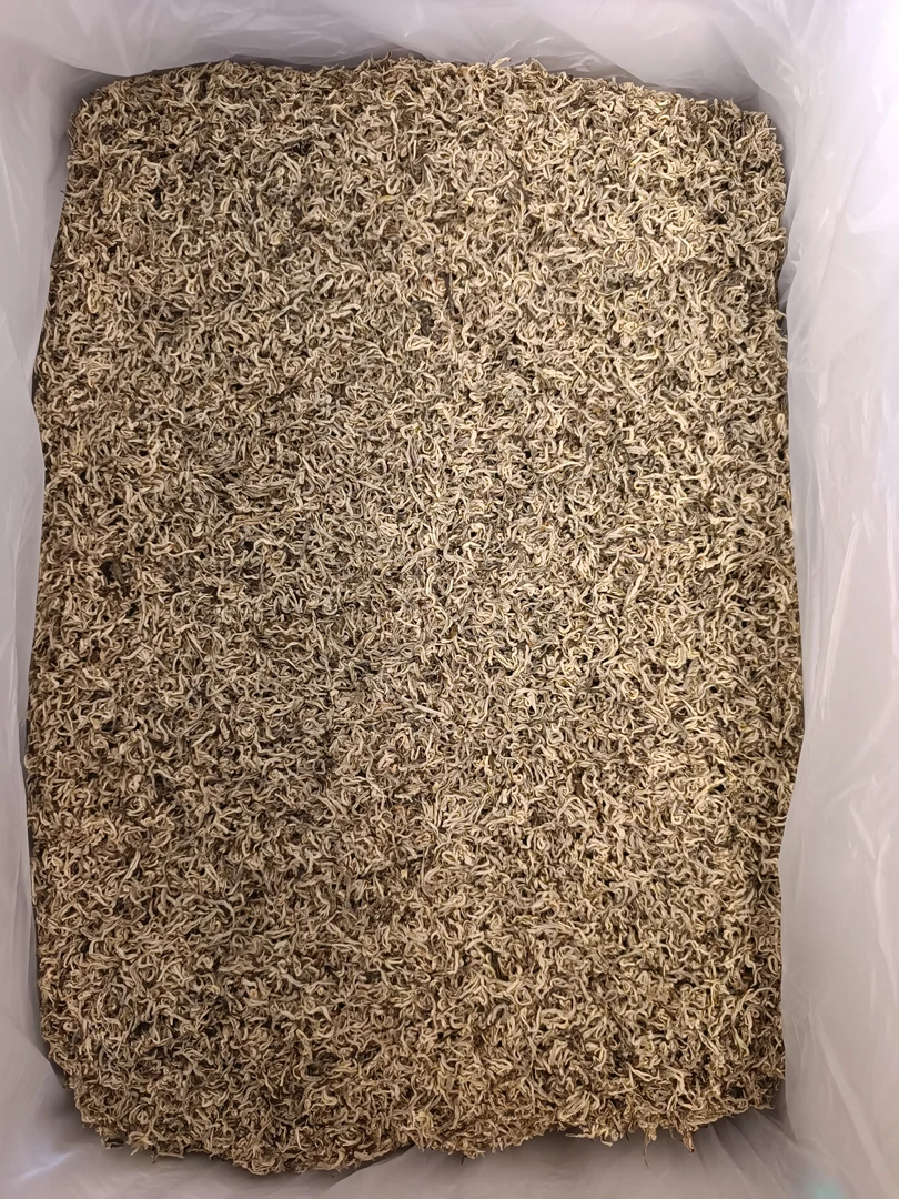 云南绿茶雪花单芽贰