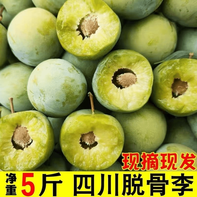 四川早熟青脆李 三月李四月李酸脆爽口当季新鲜水果孕妇水果