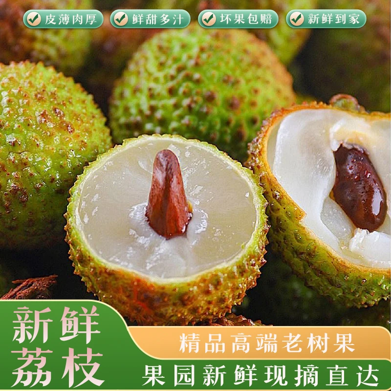 （京东/顺丰）老树大果3斤/4.5斤精品妃子笑荔枝新鲜现摘现发妃子笑