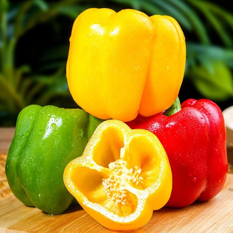 山东新鲜现摘彩椒三色椒甜椒水果椒五彩辣椒灯笼椒圆椒红黄绿椒