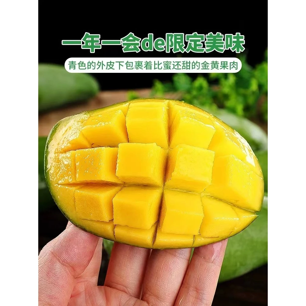 广西百色田东老树桂七香芒3-9斤产地直发新鲜美味香味浓郁多汁