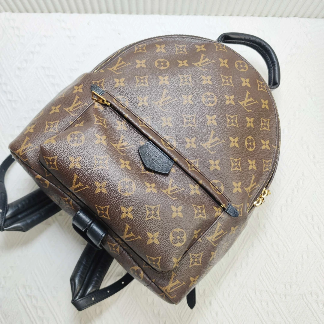 95新 LouisVuitton/路易威登 文子姐专属LV小号老花双肩包 d0116