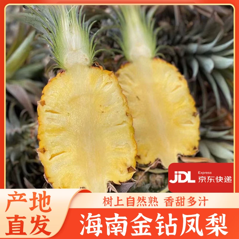 京东快递 【海南金钻凤梨】 香甜多汁 坏果包赔