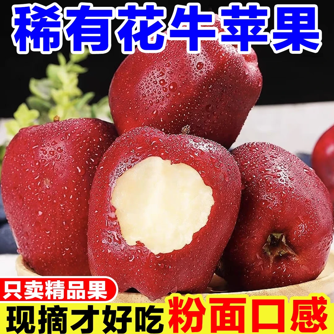 【果农自销，农家种植】花牛苹果正宗新鲜产地直销婴儿刮泥粉面包邮