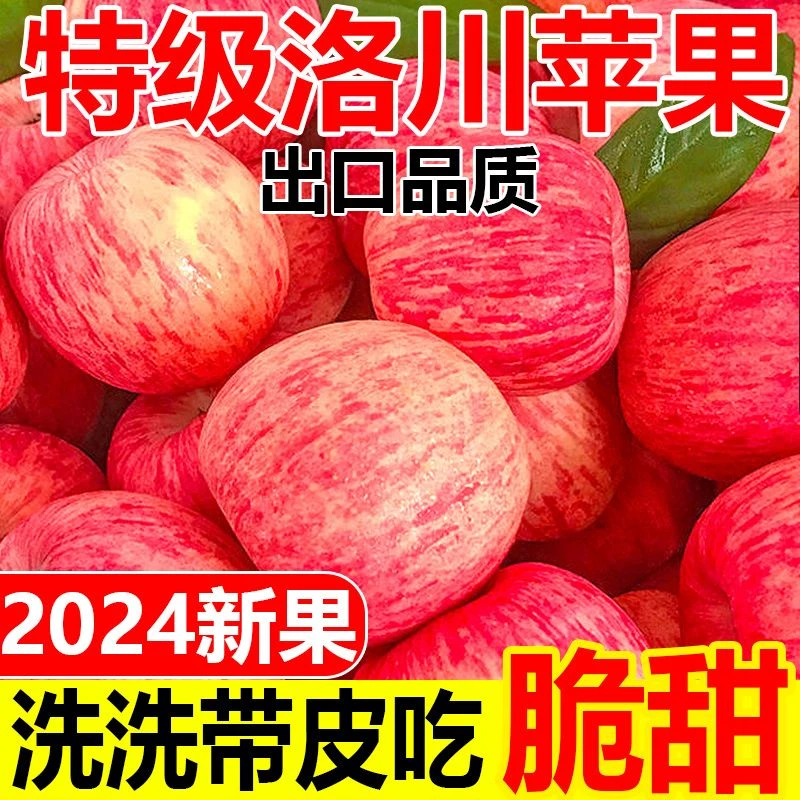 【买五斤送五斤】2024年现摘现发陕西洛川红富士苹果