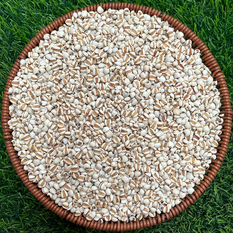 【薏米】云南特产 当季新鲜薏仁米 新薏苡仁 煮粥 煲汤 食用农产品